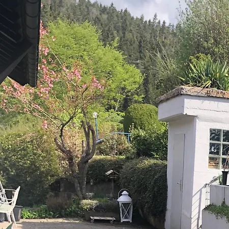 Waldglueck * Dornhan