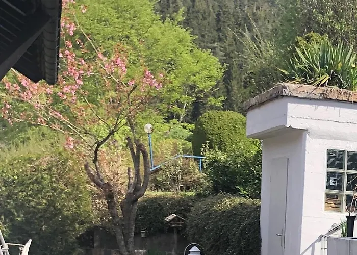 Waldglück * Dornhan