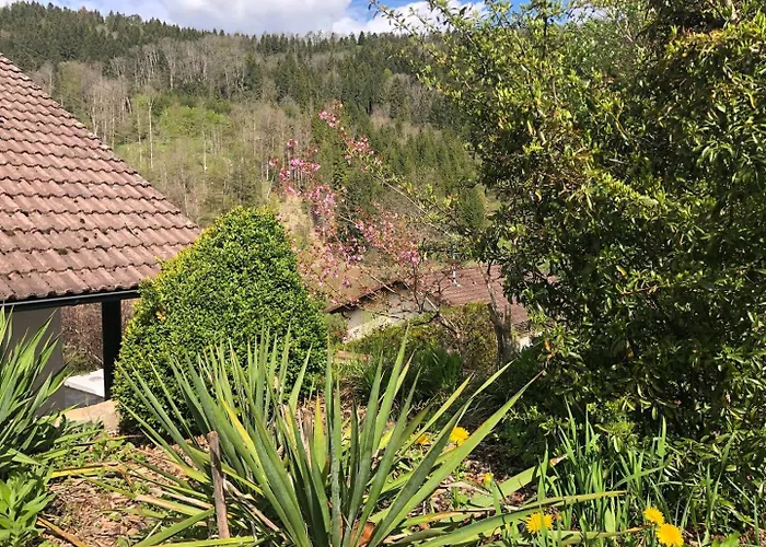 Waldglück Apartamento Dornhan